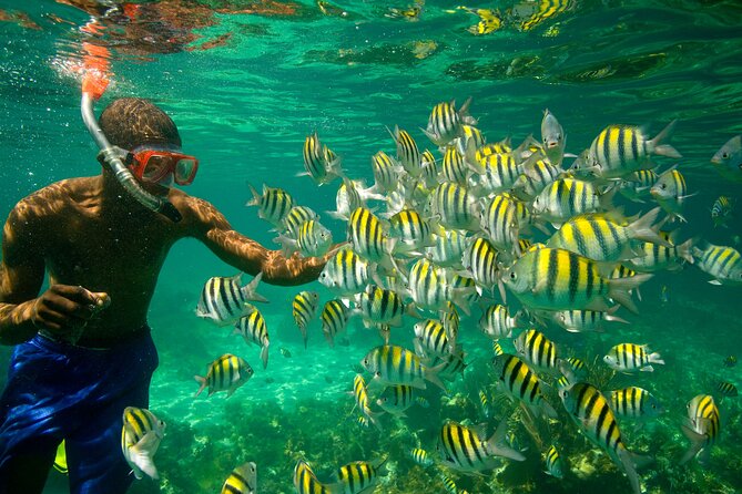 Negril Seven Miles Beach, Snorkeling, Boat Ride, Ricks Cafe Combo - Is $200 a good value?