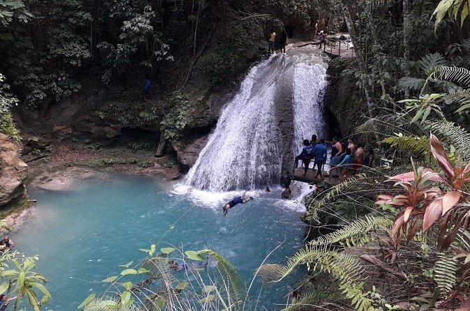 Ocho Rios Blue Hole and Dunn's River Falls Tour - What the guides add to the day