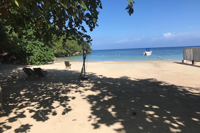 Ocho Rios City Bus Tour (Beach, Sightseeing & Shopping) - Group size, pickup, and timing