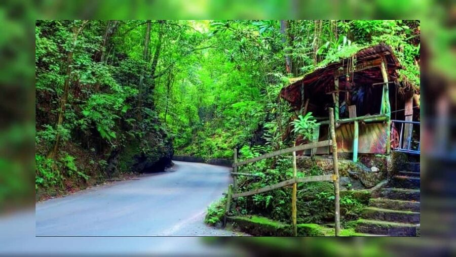 Ocho Rios: Guided Sightseeing Tour - Pickup at Ocho Rios hotels and cruise ports