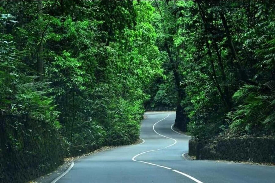 Ocho Rios: Guided Sightseeing Tour - Who will get the most from this outing
