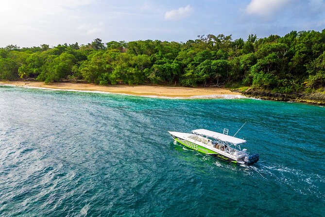 Ocho Rios Powerboat & Dunn’s River Falls Adventure - Climbing the 600 Feet of Dunn’s River Falls
