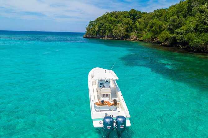Ocho Rios Powerboat & Dunn’s River Falls Adventure - Lunch, Drinks, and the Real Value of $240