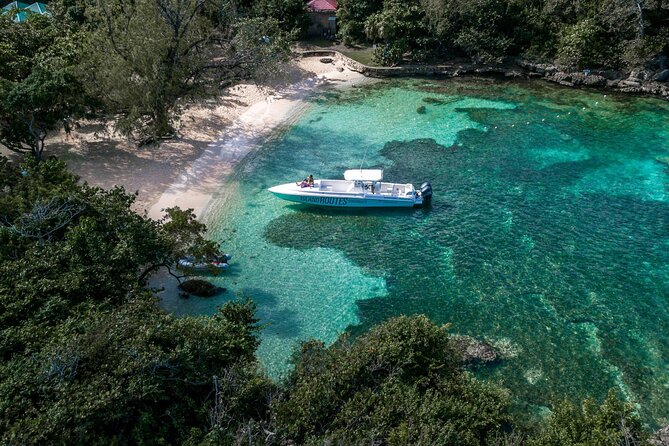 Ocho Rios Powerboat & Dunn’s River Falls Adventure - Pickup, Timing, and What to Pack