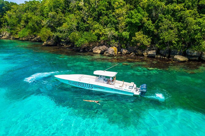 Ocho Rios Powerboat & Dunn’s River Falls Adventure - Who Will Enjoy This Ocho Rios Adventure Most