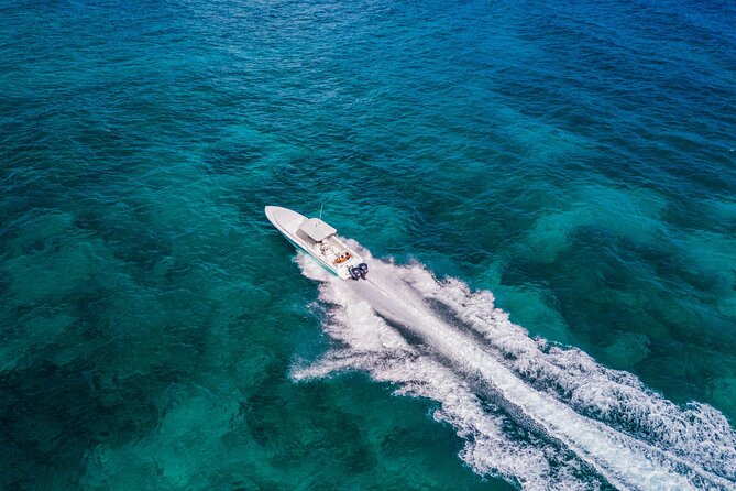 Ocho Rios Powerboat & Dunn’s River Falls Adventure - Weather, Cancellation, and Booking Advice
