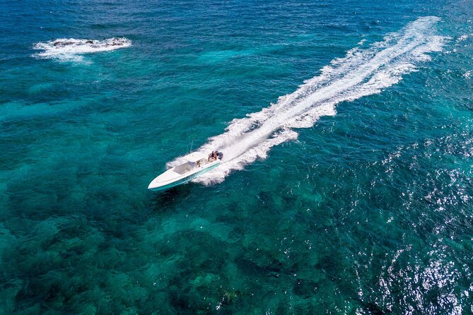 Ocho Rios Powerboat & Dunn’s River Falls Adventure - The Bottom Line: Book It If You Want Variety