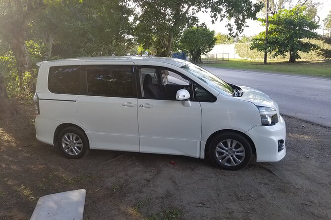 Ocho Rios Private Airport Transfer (MBJ Airport ) - What Happens When Your Flight Arrives