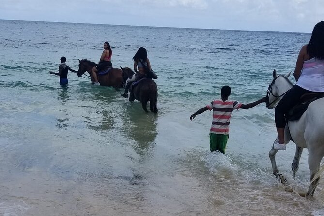 Ocho Rios Private Horse Riding, River Tubing and Rafting[Entry fee not included] - Price: calculate the full day, not just the headline amount