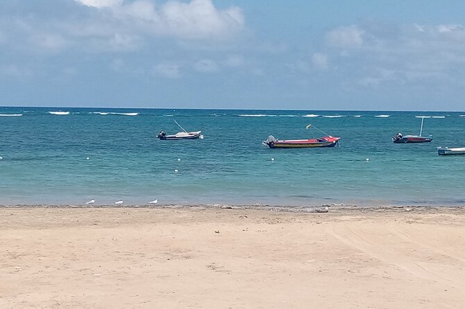 Ocho Rios Scenic Views, Culture and Adventure - Driving through Fern Gully