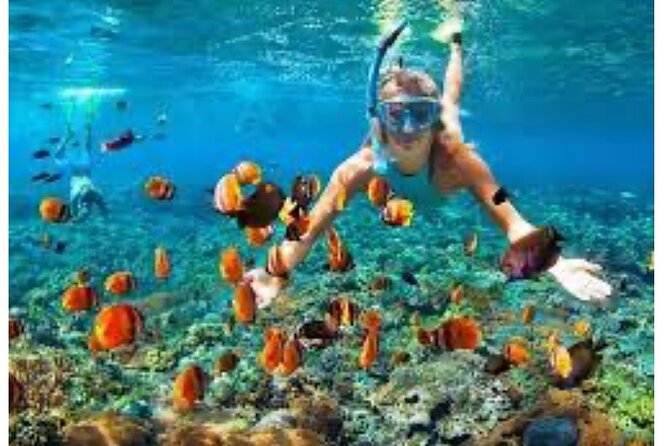 Party Catamaran and Snorkeling Tour in Montego Bay - Crew support makes a difference