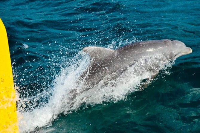 Party Catamaran: OpenBar, Music, Negril Beach, Caves, Snorkeling - Rick’s Cafe brings the famous cliff jumps