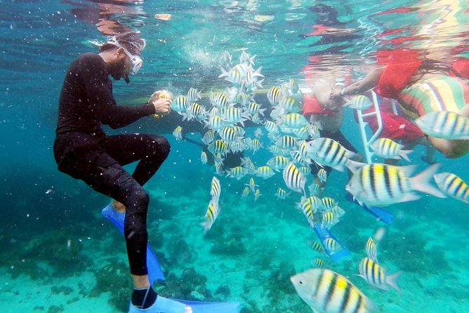 Party Catamaran: OpenBar, Music, Negril Beach, Caves, Snorkeling - The open bar is part of the value