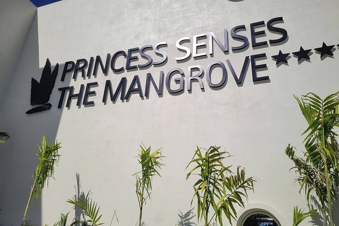 Princess Senses The Mangrove Airport Transfers - Price, timing, and booking value