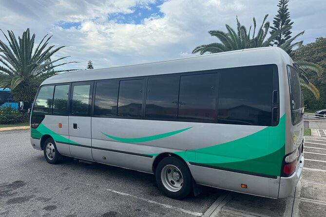 Private Airport Transfer from MBJ to Ocean Eden Bay - How reliable is the pickup?