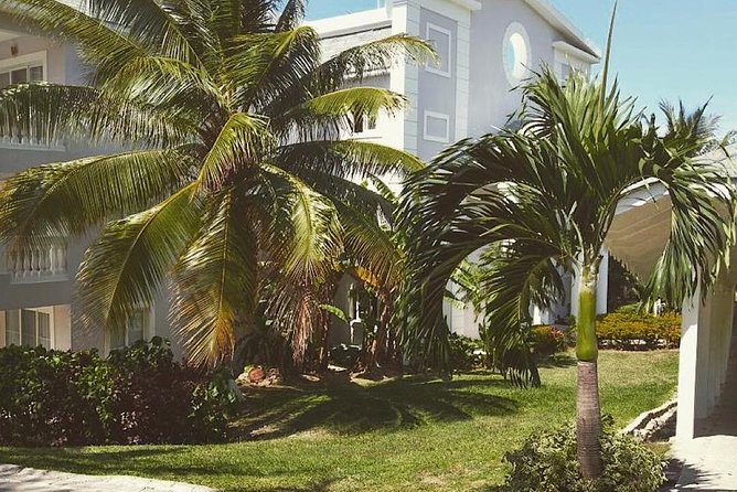 Private Airport Transfer to Lady Hamilton and Grand Palladium - Who will like this service most