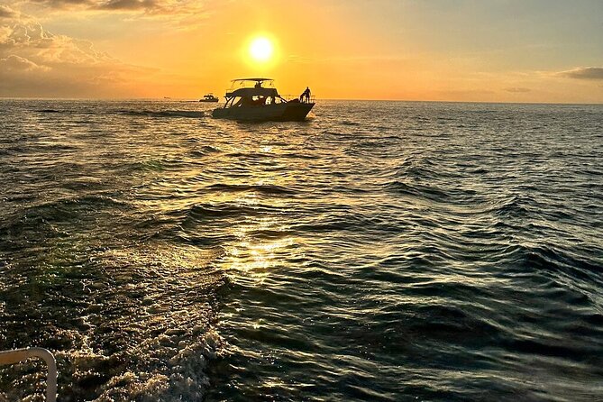 Private Airport Transfer to Royalton, Ocean Coral Spring & Excellence Oyster Bay - One-way or round-trip: choosing the useful option