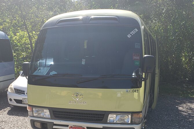 Private Airport Transfers To Negril Hotels and Villas - Booking details that deserve attention