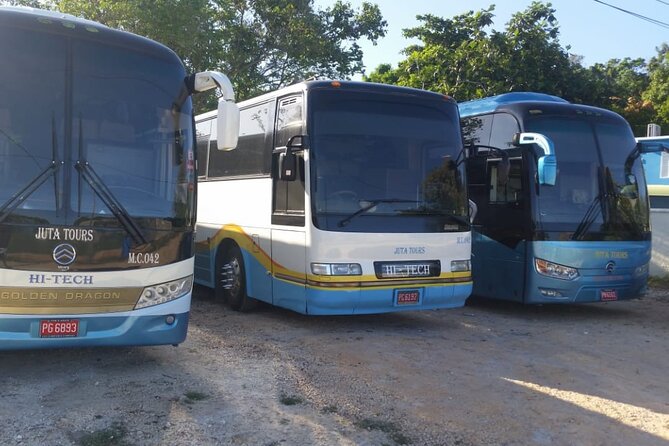 Private Airport Transfers To Negril Hotels and Villas - A private ride instead of a shared shuttle