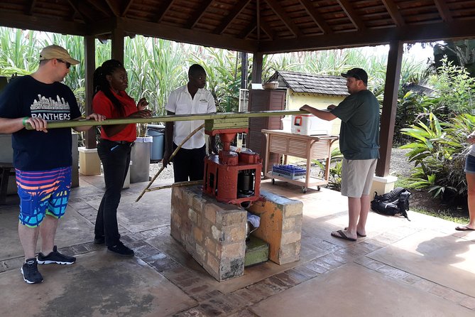 Private Appleton Estate Rum and Pelican Bar Tour from Montego Bay - Why this makes a good Montego Bay day trip