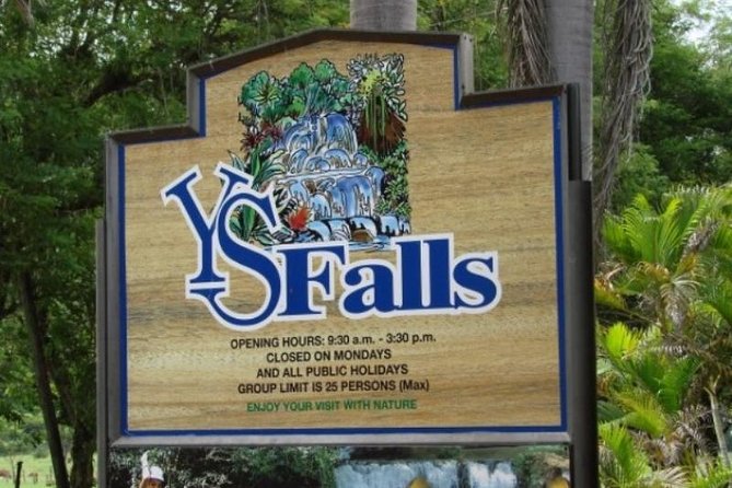 Private Appleton Estate Rum & YS Falls Tour from Montego Bay - Swimming beneath seven waterfall tiers