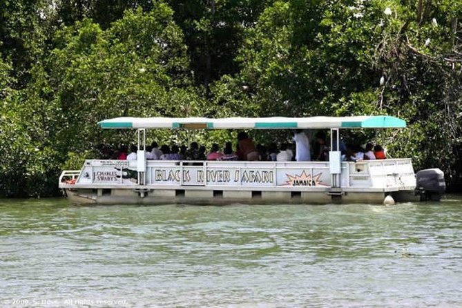 Private Appleton YS Falls and Black River Tour from Montego Bay - Appleton Estate: from sugarcane to a rum tasting