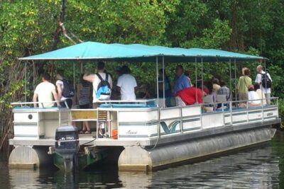 Private Appleton YS Falls and Black River Tour from Montego Bay