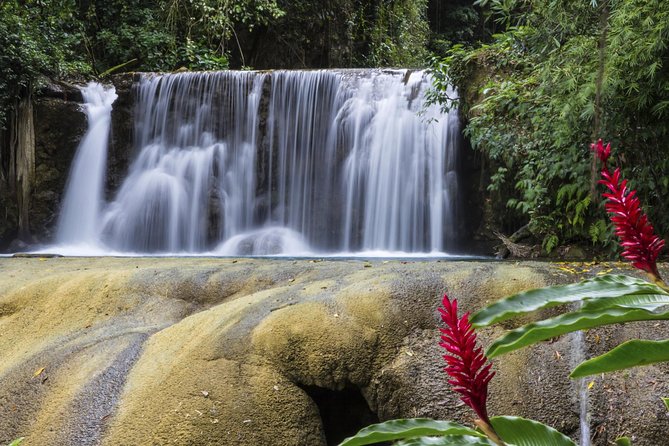 Private Appleton YS Falls and Black River Tour from Montego Bay - Black River: a slower hour with crocodiles