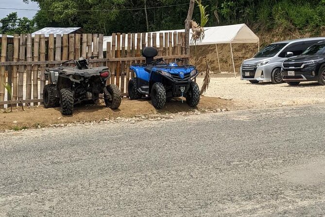 Private ATV Ride 7 Mile Beach & Rick’s Café Negril Tour - What $245 per person really covers