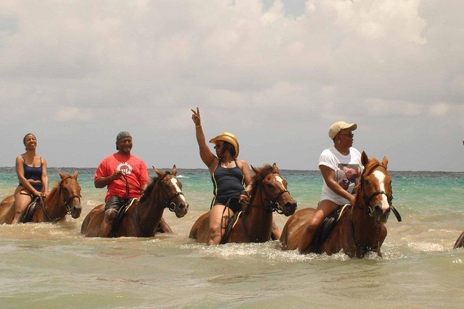 Private Beach Horseback Riding from Ocho Rios - Who Will Get the Most From This Ride