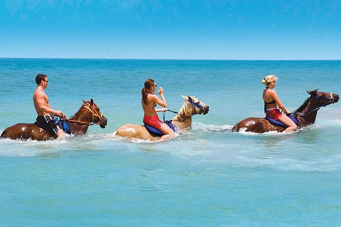 Private Beach Horseback Riding from Ocho Rios - The Horse Swim Is the Memorable Finish