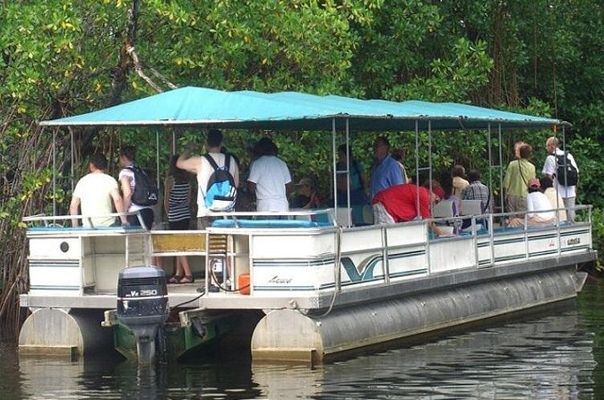 Private Black River Safari Tour from Montego Bay - Price, inclusions, and what you still need to budget