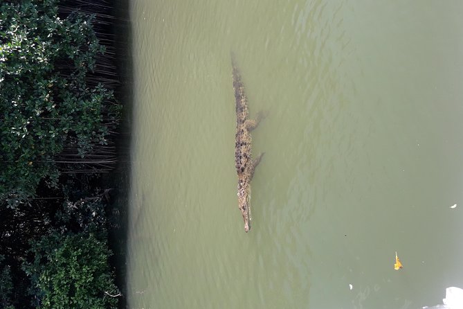 Private Black River Safari Tour from Montego Bay - Booking and cancellation details to remember