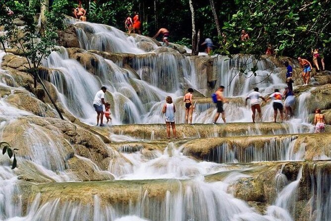 Private Bob Marley 9 mile & DunnsRiverFalls Tour from Montego Bay - Lunch, pacing, and what the price covers