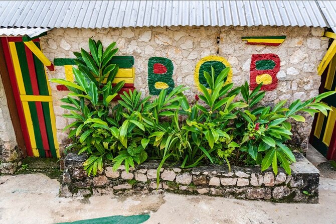Private Bob Marley 9 mile & DunnsRiverFalls Tour from Montego Bay - Dunn’s River Falls and the 45-minute waterfall visit