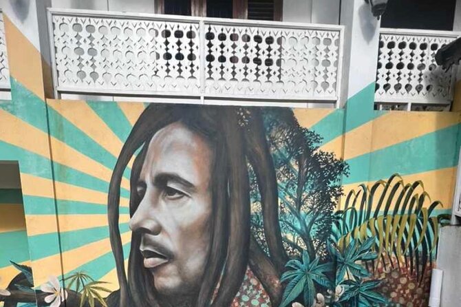 Private BOB Marley's 9miles Tour & Dunn’s River Falls Experience - What the private setup really adds