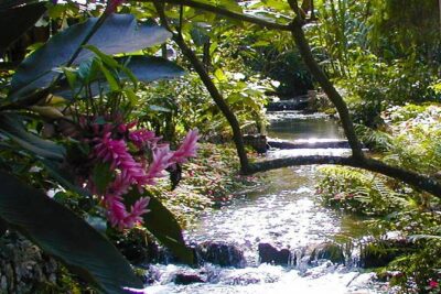 Private Combo Tour From Ocho Rios To Blue Hole & Konoko Falls