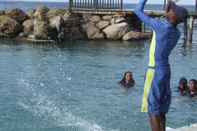 Private Dolphin Cove Adventure - Pickup, Drivers, and the Road to Dolphin Cove