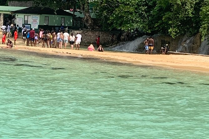 Private Dunn's River and Bamboo Rafting Combo from Ocho Rios - Marvyn’s Paradise Tours and the road between stops