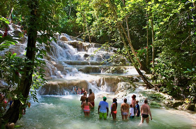 Private Dunn's River Falls Adventure from Montego Bay - Corey’s Personal Style and Service