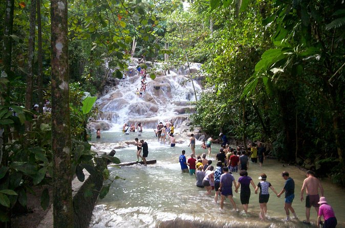 Private Dunn's River Falls Adventure from Montego Bay - Booking and Cancellation Details