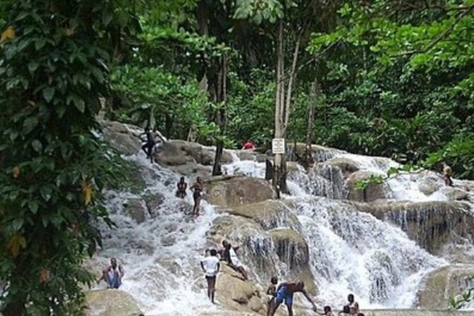 Private Dunn's River Falls and Tubing Tour From Ocho Rios - A closer look at the day’s rhythm