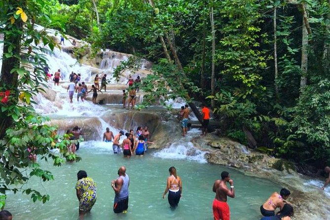 Private Dunn's River Falls from Ocho Rios - Key points to know before booking