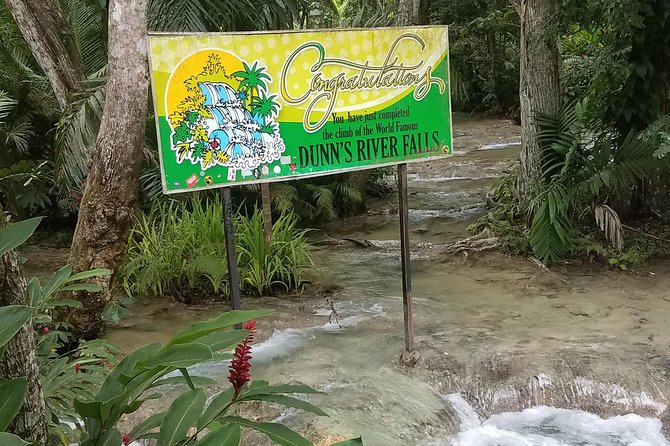 Private Dunn's River Falls from Ocho Rios - Why Dunn’s River Falls is worth the wet shoes