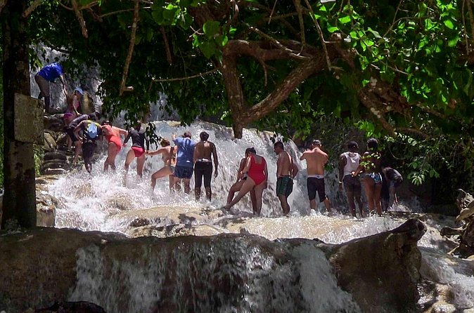 Private Dunn's River Falls from Ocho Rios - Timing, fitness, and what to prepare for
