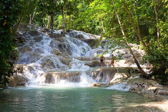 Private Dunn's River Falls Jamaica - Adding the rainforest zipline