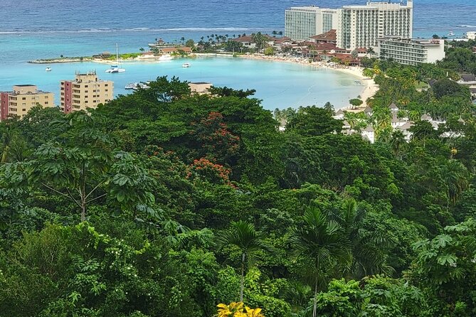 Private Dunn's River Falls, Ocho Rios Sightseeing and shopping - Should you book this private Jamaica excursion?