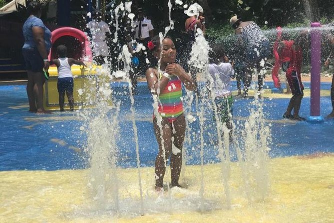 [PRIVATE] Dunn's River Falls with Entrance Fees - What the $158.11 price really buys