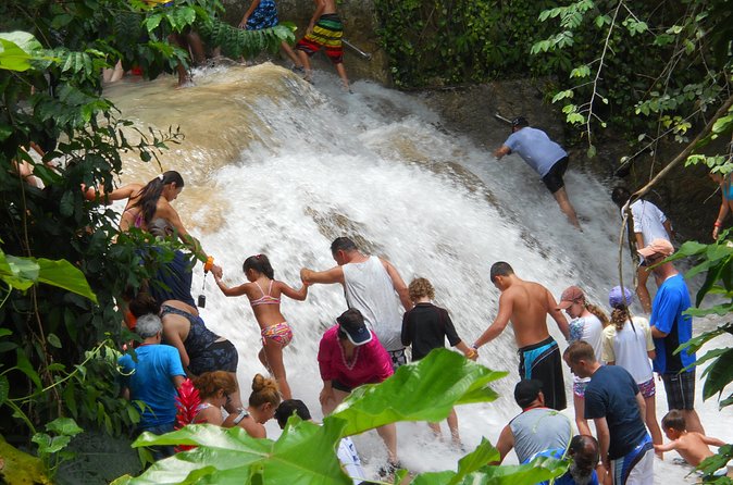 Private Dunns River Falls and Beach Break Excursion from Falmouth - The private format is the main advantage
