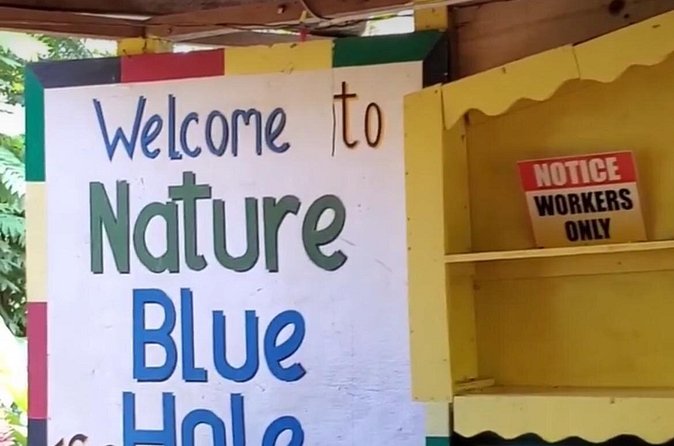 Private Dunns River Falls and Blue Hole from Montego Bay Tour - Why The Private Driver Makes A Difference